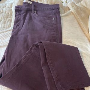 Ann Taylor Loft Plum Stretch Jeans
